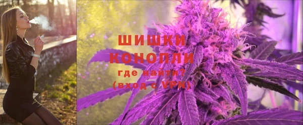 PSILOCYBIN Заводоуковск