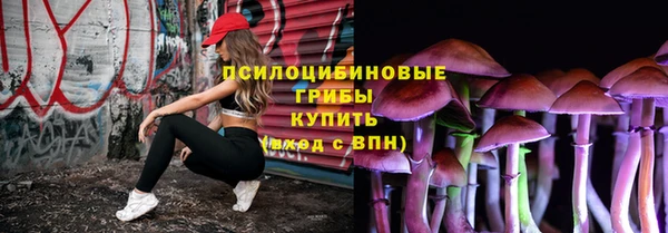 ГАЛЛЮЦИНОГЕННЫЕ ГРИБЫ Заволжск