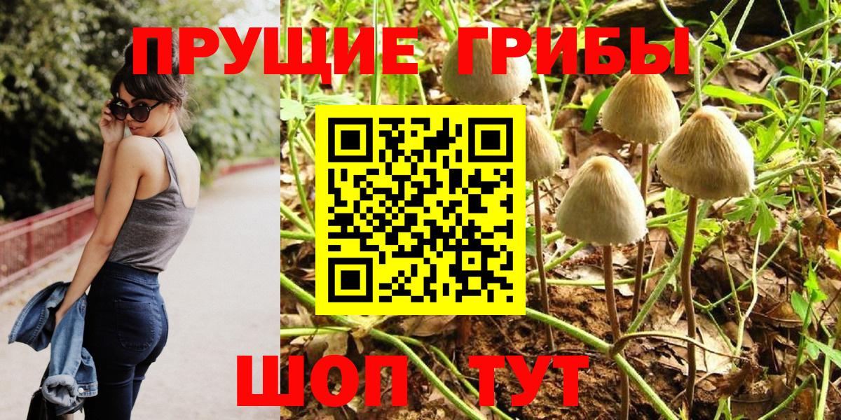 Галлюциногенные грибы Magic Shrooms  Вход с VPN  Прохладный 