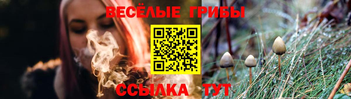 Галлюциногенные грибы мицелий Прохладный